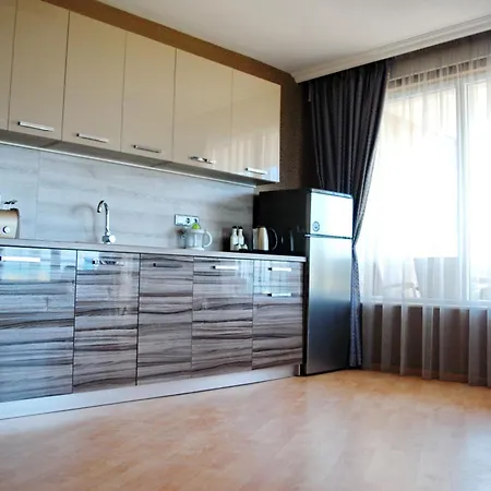 дюн палас 포마리