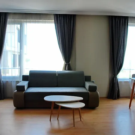 дюн палас * 포마리